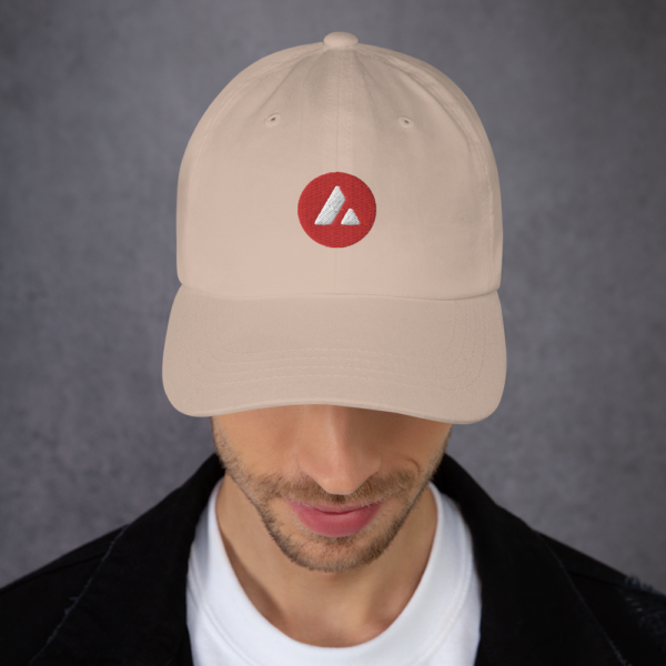 classic dad hat stone front 6248b4e1d64a8