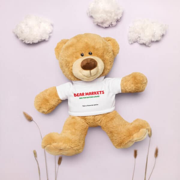 Bear Markets - Teddy bear with a t-shirt - Image 2