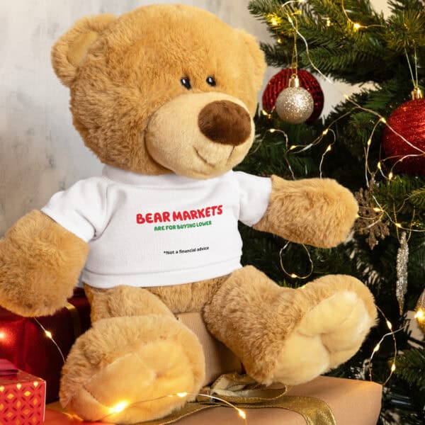 Bear Markets - Teddy bear with a t-shirt - Image 3