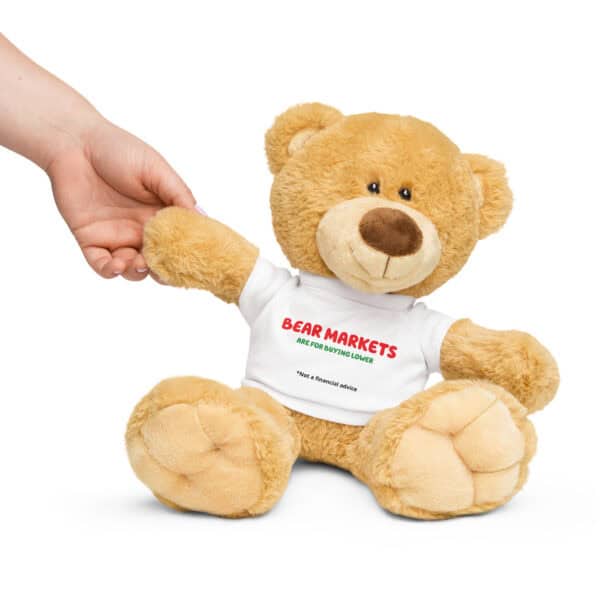Bear Markets - Teddy bear with a t-shirt - Image 6