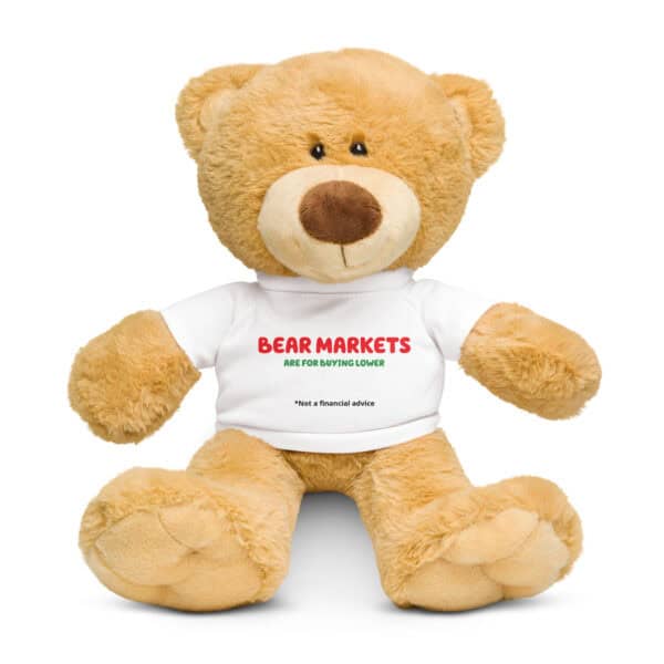 Bear Markets - Teddy bear with a t-shirt - Image 9