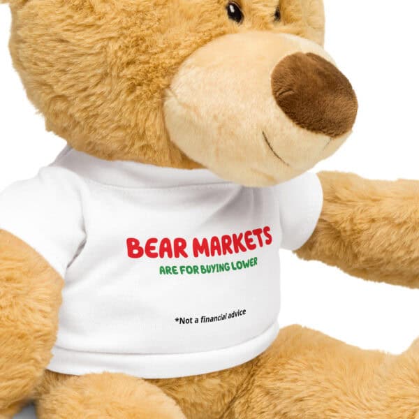 Bear Markets - Teddy bear with a t-shirt - Image 5